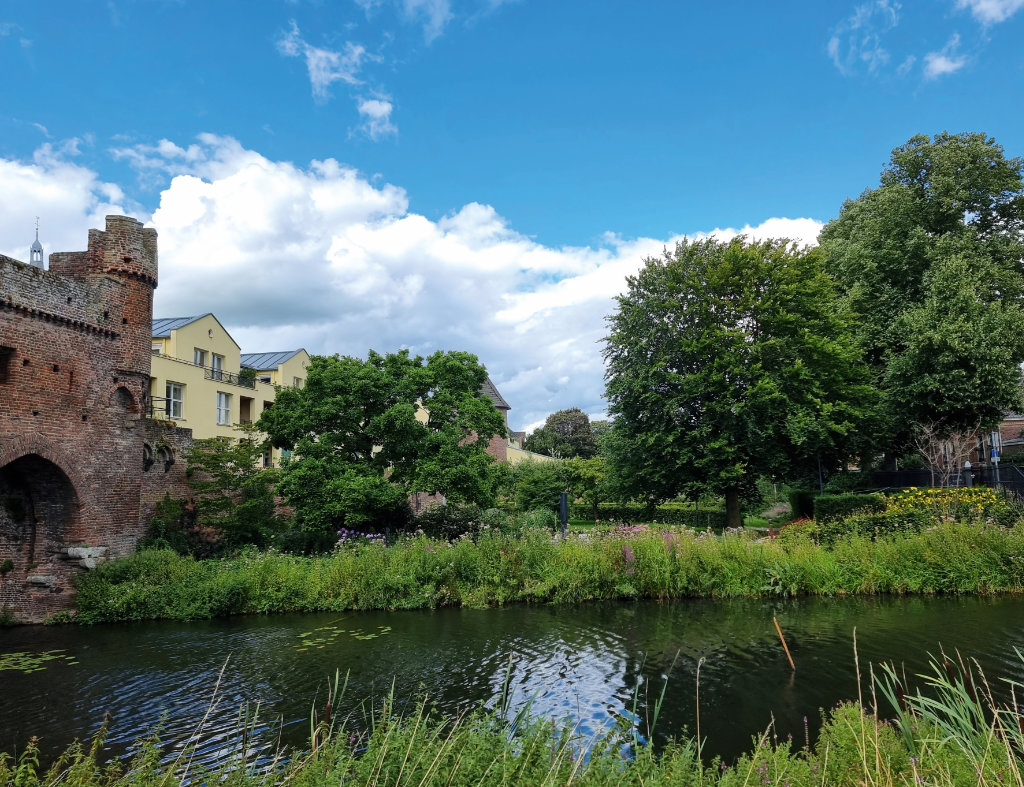 De tuin van St. Elisabeth