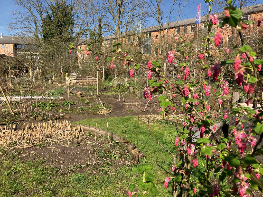 Pastorie- en schooltuin